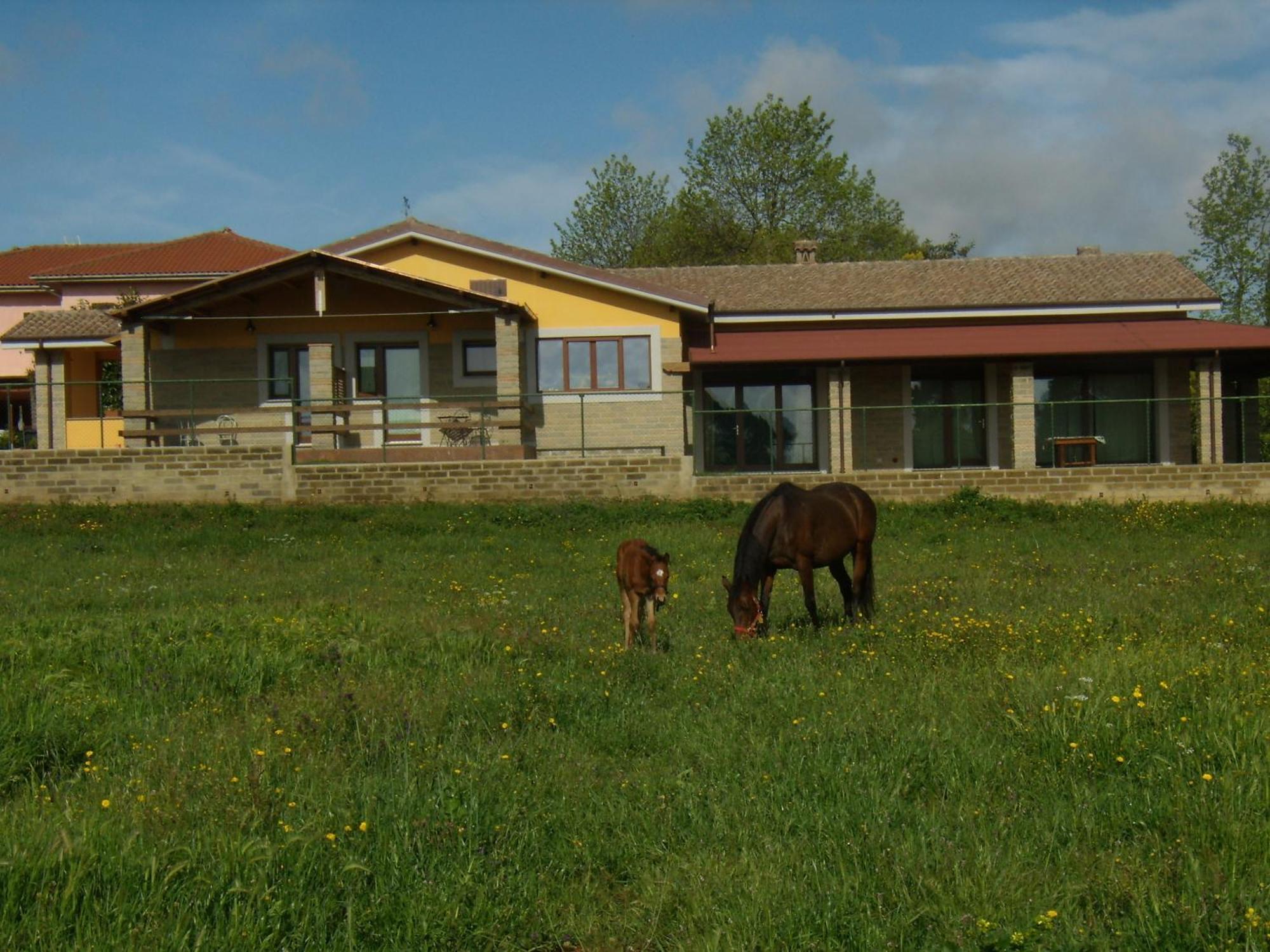 Agriturismo L.B.Stud Bracciano  Eksteriør billede