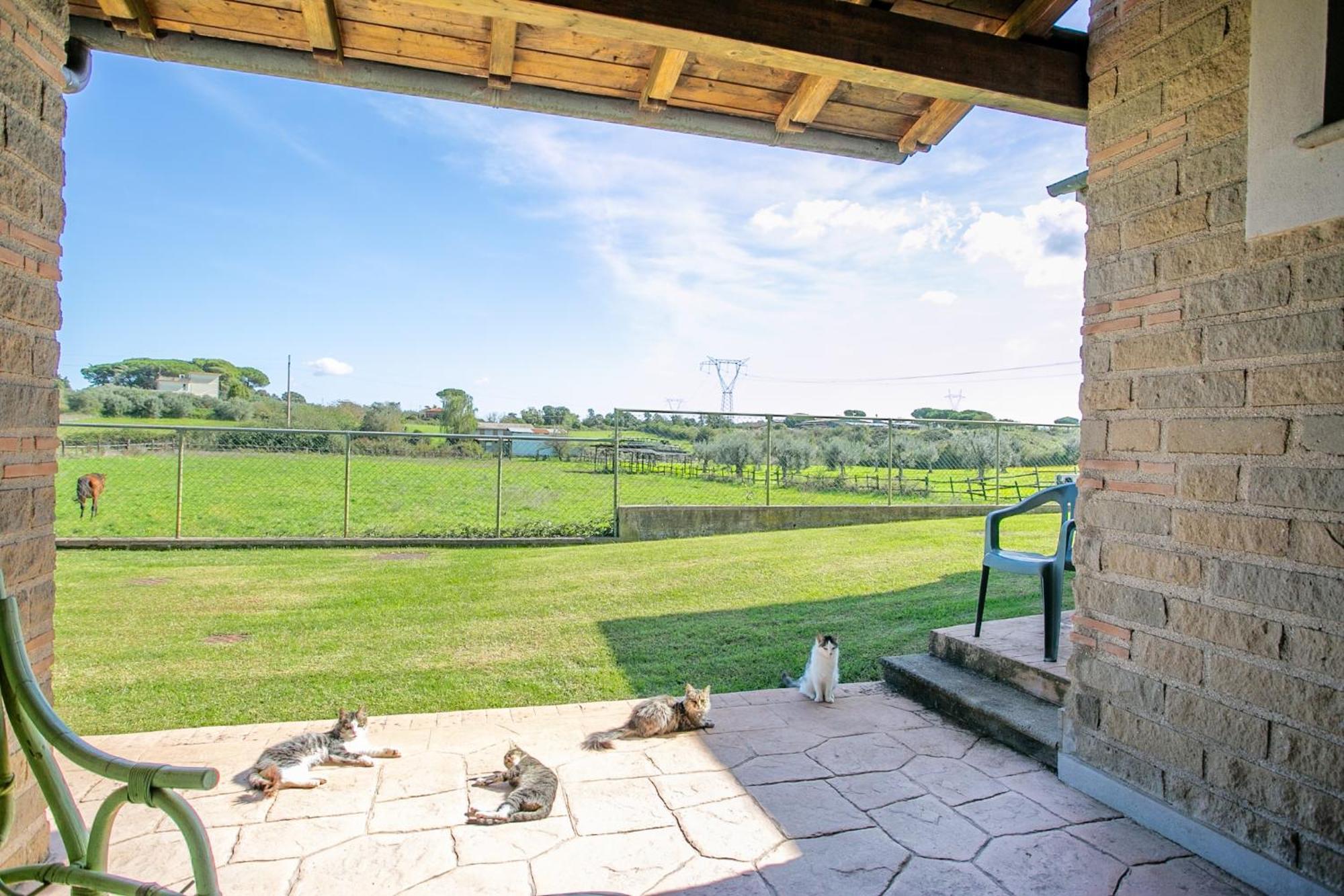 Agriturismo L.B.Stud Bracciano  Eksteriør billede